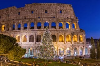giant christmas tree in front of the colosseum in rome