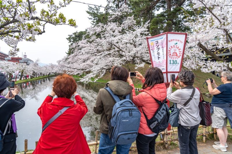 People enraptured by cherry blossoms in Hirosaki Park, Japan
