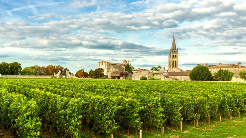 Vineyards in French city, Bordeaux