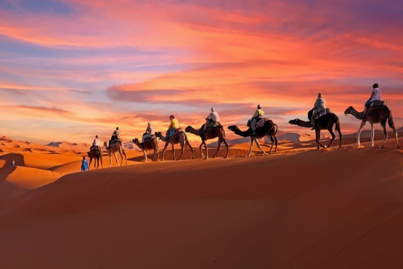 Sunset camel caravan in the Morocco desert 
