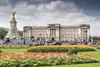 tourists at buckingham palace