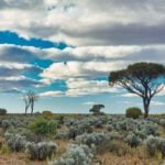 cost of living in australia