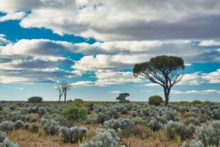 cost of living in australia