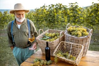 Senior winemaker in Italy