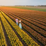 moving to the netherlands