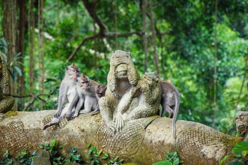 a group of long-tailed macaques sitting next to a monkey statue in the Sacred Monkey Forest Sanctuary in Ubud, which has a high cost of living in Indonesia